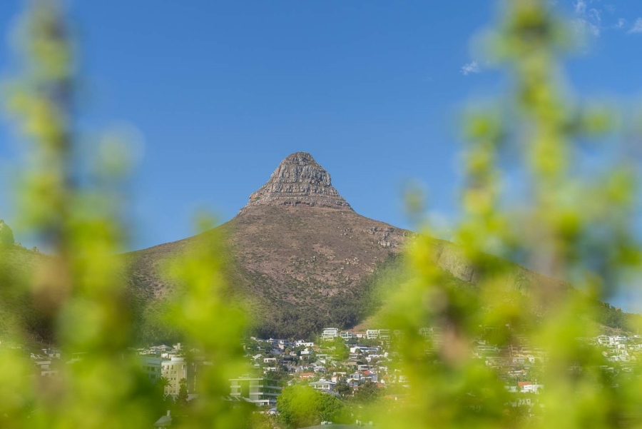 To Let 2 Bedroom Property for Rent in Sea Point Western Cape